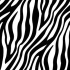 Papel de Parede Vinílico Zebra Animal Print Sala Quarto 2.5m - DELIQUADROS