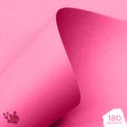 Papel Offset Colorido 180g A4 (rosa) 20 Folhas