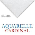 Papel Para Aquarela Clairefontaine Cardinal 300g/m² 50x65cm