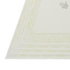 Papel Para Certificado 120G A4 (Sépia) 50 Folhas