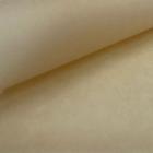 Papel Vegetal Translucent Nude 100g REF XP0046