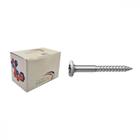 Parafuso Tampinha Phillips Nfix 4,2X 40 - Kit C/2 Centos