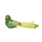 Pássaro com Glitter Verde - Jg C/3 Pc - Cromus: 1551539