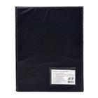 Pasta Catálogo Acp 100 Envelopes 0,06mm C/ Visor Ref 130