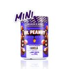 PASTA DE AMENDOIM DR PEANUT MINI 250g