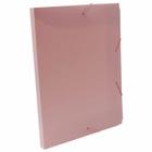 Pasta plastica aba elastico a20lo (2cm) rosa / un / plascony