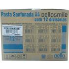Pasta Sanfonada Plastica A4 12 Divisoes Roxa Dellofine - Planeta Criança