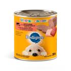 Pedigree Lata Filhote Sabor Carne e Frango ao Molho 280g