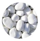 Pedra Seixo Branco de Jardim Dolomita Nº1 - 05 kg - Gardenzy