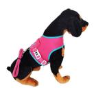 Peitoral Coleira Guia Pet Cachorro Colete Neoprene 3 Até 8kg