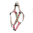 Peitoral para cachorro FLOWERS - verde e rosa - WALKIEDOG