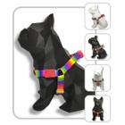 Peitoral para cachorro - Modelo Arco Íris