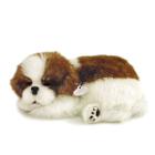 PERFECT PETZZZ Filhote Cachorro Shih-Tzu