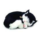 Perfect Petzzz Filhote Gato Black E White Shorthair  Imex