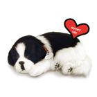 Perfect Petzzz Original Petzzz Border Collie, Realista, Brinquedo interativo de estimação recheado realista, cão de estimação companheiro com 100% de pele sintética artesanal