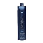 Perfect Liss Advance Frizz Control Step 2 - Passo 2 1000ml