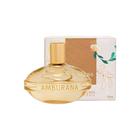 Perfume Feminino Deo Colônia L'Occitane Au Brésil Amburana 100ml