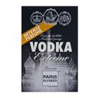 Perfume Masculino Vodka Extreme Eau de Toilette 100ml QHS - Paris Elysees