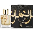 Perfume Nimr Masculino Eau de Parfum 100ml