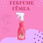 Perfume Pet Clean para Fêmea 500ml