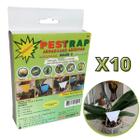 Pestrap Branca Pega Fungus Gnats Mod V Vaso 12,5x8,5 10 un