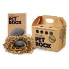 Pet Rock O Original de Gary Dahl