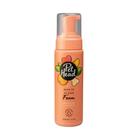 PetHead QuickFix Espuma de Limpeza sem enxágue