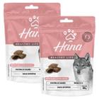 Petisco Snack Hana Antialergico Cachorro Adulto 65g kit 2un