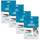 Petisco Snack Hana Dental Para Cachorro Adulto 100g kit 4un