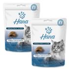 Petisco Snack Hana Gato Adulto Dental 60g kit 2un