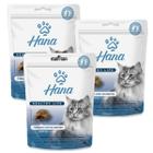 Petisco Snack Hana Gato Adulto Dental 60g kit 3un