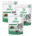 Petisco Snack Hana Gato Adulto Pelo e Pelo 60g kit 3un