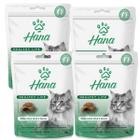 Petisco Snack Hana Gato Adulto Pelo e Pelo 60g kit 4un