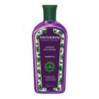 Phytoervas Antiqueda - Shampoo