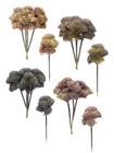 Pick Sedum 15cm Kit Com 4 Unidades Brilliance