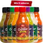 Pimenta Jalapeño Molho Cremoso Picância Suve Churrasco 200ml Bahia Premium Sabores Variados 8Un