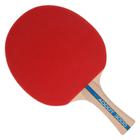 Ping-Pong Raquete Tênis de Mesa Butterfly Addoy