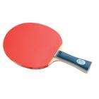 Ping-Pong Tênis de Mesa Raquete DHS 1002 1* Clássica com capa