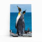 Pinguins Animais Oceano Mar Paisagem Quadro Canvas 60X40Cm