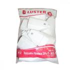 Pino Femea 2 Polos+Terra Luster Branco 2079 - Kit C/10