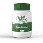 Pinus Pinaster 150mg : Ativo Galena 120 Cápsulas