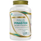 Pinus Pinaster + Vitamina E, Selênio E Zinco 60 Cápsulas