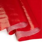 Pl. Bagum C/ Brilho Vermelho