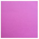 Pl. Eva Liso 40x60cm 9715 Pink (fl)