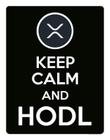 Placa Decoraçao - Keep Calm Hodl Hold Ripple Xrp 27X35