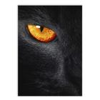 Placa Decorativa A2 Animais Pantera Negra Olhar