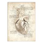 Placa Decorativa A4 Coração Anatomia Projeto Retro Da Vinci