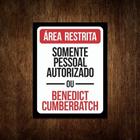 Placa Decorativa - Ärea Restrita Benedict Cumberbatch 36x46