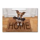 Placa Decorativa - Cachorro - Petshop - 2300plmk