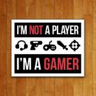 Placa Decorativa - I'M Not A Player I'M A Gamer (27X35)